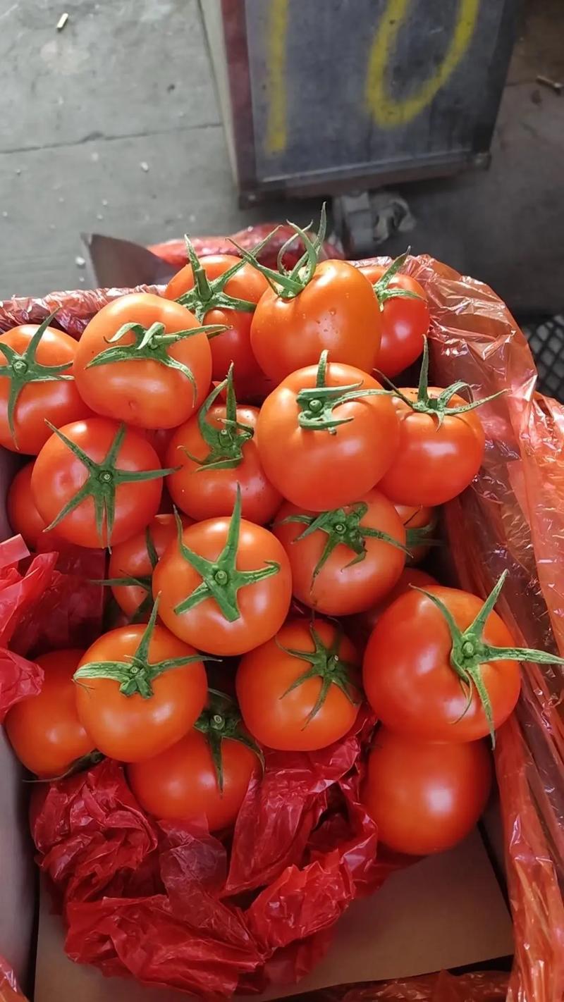 泉州市晋江市工厂蔬菜配送 苏记蔬菜粮油批发配送，价格实惠